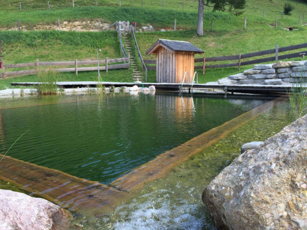 Farm stay Sonnleit'n 7 Abtenau